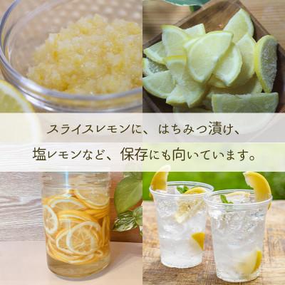 ふるさと納税 松山市 【先行予約】2027年2月上旬より発送 イエローレモン 約2.5kg 家庭用 防腐剤、ワックス不使用 |  | 01