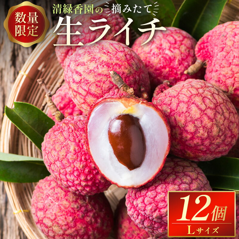 【ふるさと納税】＜2027年6月下旬～7月中旬出荷＞清緑香園の摘みたて「生ライチ」Lサイズ 12個 国産 宮崎県産 先行予約