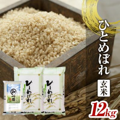 ふるさと納税 酒田市 ひとめぼれ 玄米 各12kg