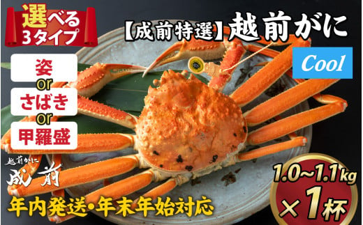 【先行予約】選べる！美味しさ直送【成前特選】越前かに（1.0～1.1kg）1杯【年内発送・年末年始対応】捌き【L-028017_08】