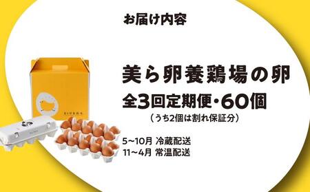 卵の黄身が掴めるほどの新鮮さ 美ら卵養鶏場の卵 60個【3ヶ月定期便】
