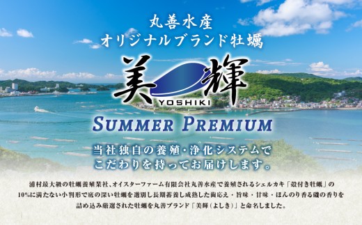 【期間限定 】【10月15日まで受付】42-02 濃厚な甘みとコク！生食用 三倍体牡蠣 40個入り 生牡蠣 冷蔵 浦村牡蠣