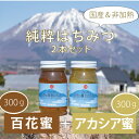 【ふるさと納税】天空の黄金はちみつ　300g×2瓶【数量限定】非加熱 国産 アカシア 百花蜜 ギフト