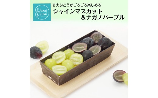 1本で2度おいしい カタラーナ 【 シャインマスカット ＆ ナガノパープル 】| プリン ブリュレ スイーツ お菓子 洋菓子 おやつ ギフト プレゼント 贈り物 箱付き 冷凍 長野県 飯田市 信州