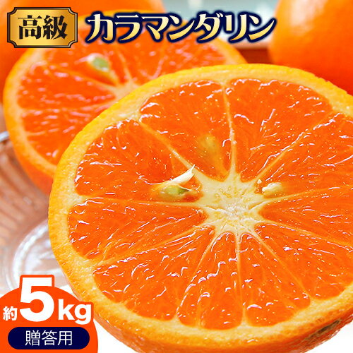 【ふるさと納税】【レビューキャンペーン】 高級カラマンダリン贈答用 約5kg 主井農園《4月上旬-5月下旬頃出荷》 和歌山県 日高町 カラマンダリン みかん 高級 贈答用 贈り物 おくりもの プレゼント ギフト 記念日 送料無料