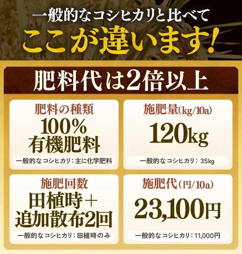 【先行予約】【令和8年産 新米】定期便《12ヶ月連続お届け》コシヒカリ 玄米 5kg （計60kg）特別栽培米 農薬不使用 化学肥料不使用 ／ 残留農薬ゼロ 高品質 鮮度抜群 福井県産 ブランド米 玄