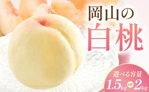 
                  【先行予約】岡山の白桃・晩生　1.5kg箱/2kg箱　9月上旬から順次発送予定
                