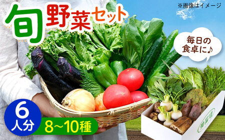旬野菜セット 6人用 [BAFW002] 野菜詰合せ 