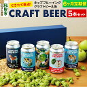 【ふるさと納税】《定期便6ヶ月》クラフトビール缶 毎月5本セット【ホップドッグブルーイング】