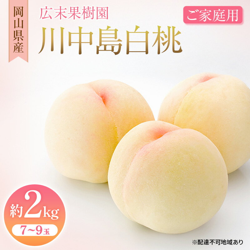 【ふるさと納税】【2026年先行予約】 桃 岡山県産 ご家庭用 川中島 白桃 約2kg(7～9玉)《2026年7月中旬-8月上旬頃出荷》 白桃 岡山 はくとう スイーツ フルーツ 果物 先行予約 数量限定 期間限定 岡山 里庄町 モモ もも 桃　お届け：2026年7月中旬～2026年8月上旬