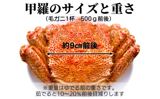 【令和8年発送】【期間限定2026年3月〜4月発送】三陸産 三陸活毛ガニ 500g×2杯(匹)【配送日指定不可】【05】　 