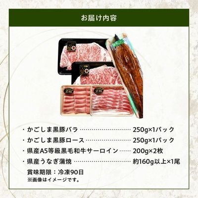 かごしま黒豚しゃぶしゃぶ用2パック・黒毛和牛サーロイン2枚・ウナギ1尾の抜群セット【配送不可地域：離島】