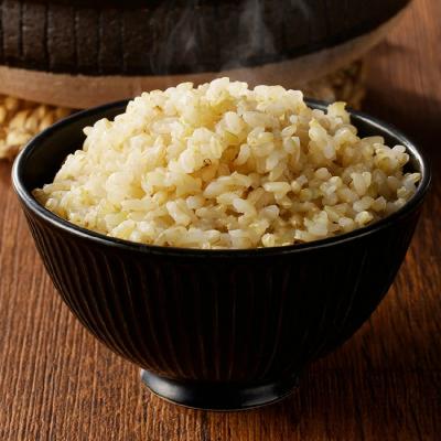 ふるさと納税 関市 玄米5kg 安心・安全なすずさんの米 1等米のはつしも/大粒　和食  お米　岐阜県関市 |  | 01