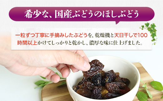 ほしぶどう 40g×5袋 国産 ドライフルーツ 無添加 複数品種 希少 レア 小分け干し葡萄 ほしぶどう 無添加 防災食品 保存食 備蓄食 常備食 食物繊維 鉄分 ポリフェノール レーズン 製菓 製パ