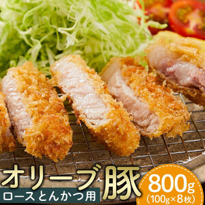 豚肉 オリーブ豚 ロースとんかつ用 800g（100g×8枚）【化粧箱入り】【配送不可：離島】