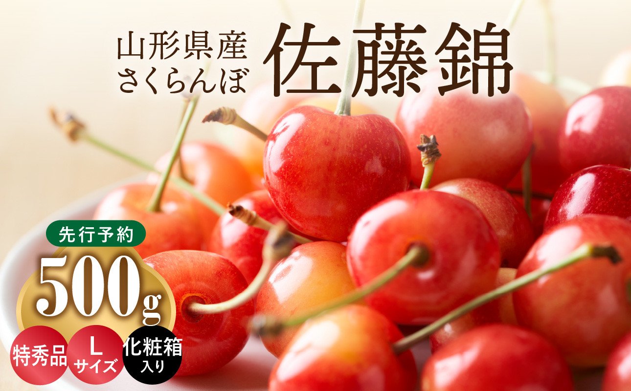 
            《先行受付》さくらんぼ 佐藤錦 500g 特秀品 Lサイズ 化粧箱入【2026年6月中旬頃～発送予定】【山形県産さくらんぼ】 【001-071】
          