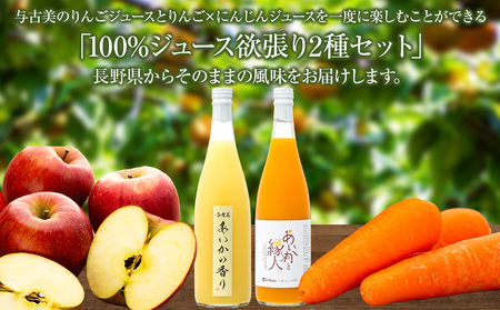 与古美の100％ジュース2種（りんご、りんご×にんじん）セット 各3本(計6本)　りんご「あいかの香り」ジュース　りんご×にんじんジュース　長野 飲料ドリンク 果汁飲料 フルーツジュース フルーツ 果