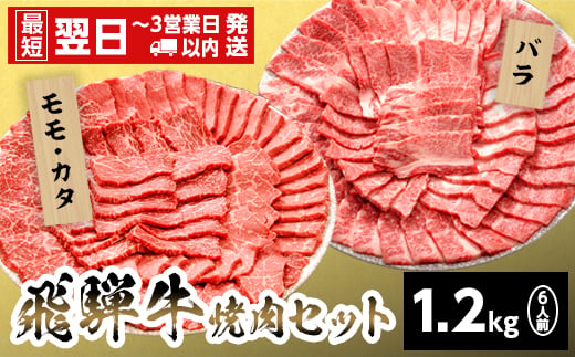 
                  【発送時期が選べる】飛騨牛 贅沢！焼肉セット 6人前 1.2kg 牛肉 和牛 肉 焼肉 BBQ キャンプ バーベキュー 霜降り カルビ 赤身 モモ カタ 東白川村 岐阜 岐阜県産 養老ミート
                