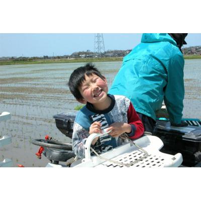 ふるさと納税 宝達志水町 米 定期便 3回 コシヒカリ「弘宝米」 玄米 10kg 計30kg [中西農場 38601286] |  | 01