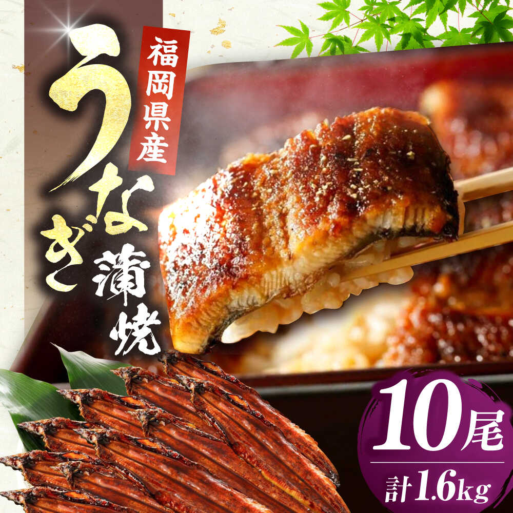【ふるさと納税】福岡県産 うなぎ 蒲焼 大 10尾　計1600g（1尾あたり 160g以上）《豊前市》【福岡養鰻】 国産 鰻 ウナギ 蒲焼き[VAD026] 59000 59000円