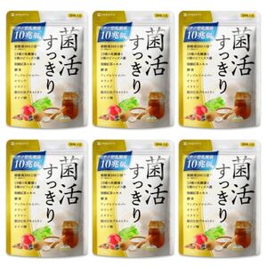 乳酸菌サプリメント ナノ型乳酸菌10兆個＆ビフィズス菌配合 菌活すっきり 6袋(6ヶ月分)【1495264】