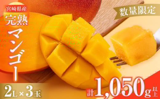 数量限定 宮崎県産 完熟マンゴー 2L×3玉 計1050g以上 期間限定 フルーツ スイーツ 果物 くだもの 食品 グルメ デザート 国産 産地直送 人気 おすすめ おやつ 高級 ご褒美 贅沢 贈り物 ギフト プレゼント お取り寄せ 宮崎県 日南市 送料無料_DB37-25