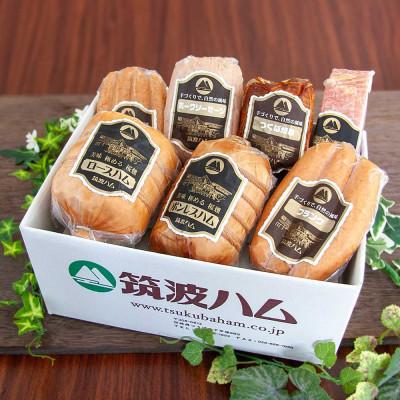 ふるさと納税 阿見町 筑波ハム 銘柄豚「常陸の輝き」バラエティブロック7品 【茨城県共通返礼品】