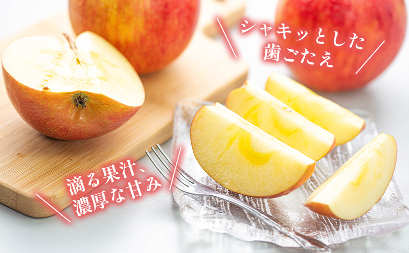 訳あり りんご JA信州うえだ 合戦りんご サンふじ 約5kg（10玉～20玉） リンゴ 林檎 ふじ 果物 くだもの フルーツ 信州 長野 離乳食 訳アリ わけあり 傷