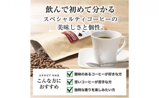 珈琲 スペシャルティーコーヒー豆【豆のまま】エチオピア モカ シャキッソ ナチュラル G1 600g
