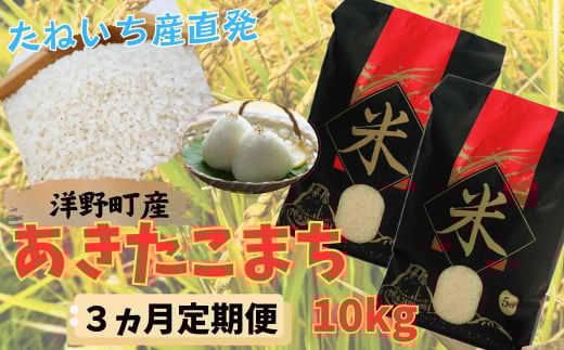 【3ヵ月定期便】令和7年産洋野町産あきたこまち10㎏（5㎏×2袋）