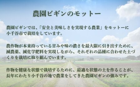 【先行予約】大玉スイカ「祭りばやし777」1玉＆メロン「オルフェ」×2玉 セット 農園ビギン 【0002-0331-01】