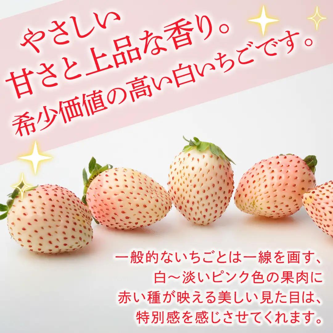 白いちご 約200g（15～18粒）×4パック【2027年1月から発送開始】（茨城県共通返礼品 [いちご]：城里町産）