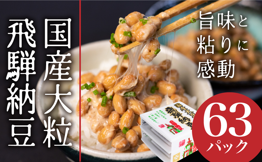 飛騨納豆 国産大豆 納豆 大粒 3パック×21個 合計63パック 橋本商店 なっとう 高級納豆 [Q071x]
