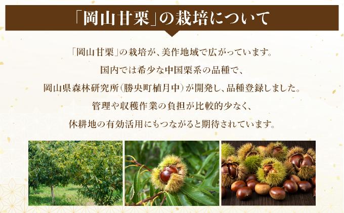 岡山甘栗・ギフト2パック詰合せセット【010-a013】