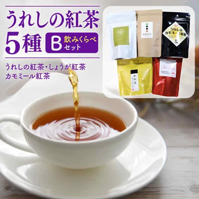 紅茶 うれしの紅茶5種セットB NAP006 
