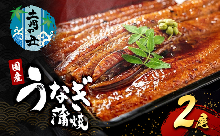 2026先行予約【7月発送】 国産うなぎ蒲焼 2尾 (480g～500g) 国産 うなぎ ウナギ 鰻 国産うなぎ 国産鰻 うなぎの蒲焼 鰻の蒲焼 うなぎの蒲焼き 鰻の蒲焼き 蒲焼き 惣菜 魚 魚介 魚介類 大阪 大阪府 岸和田市