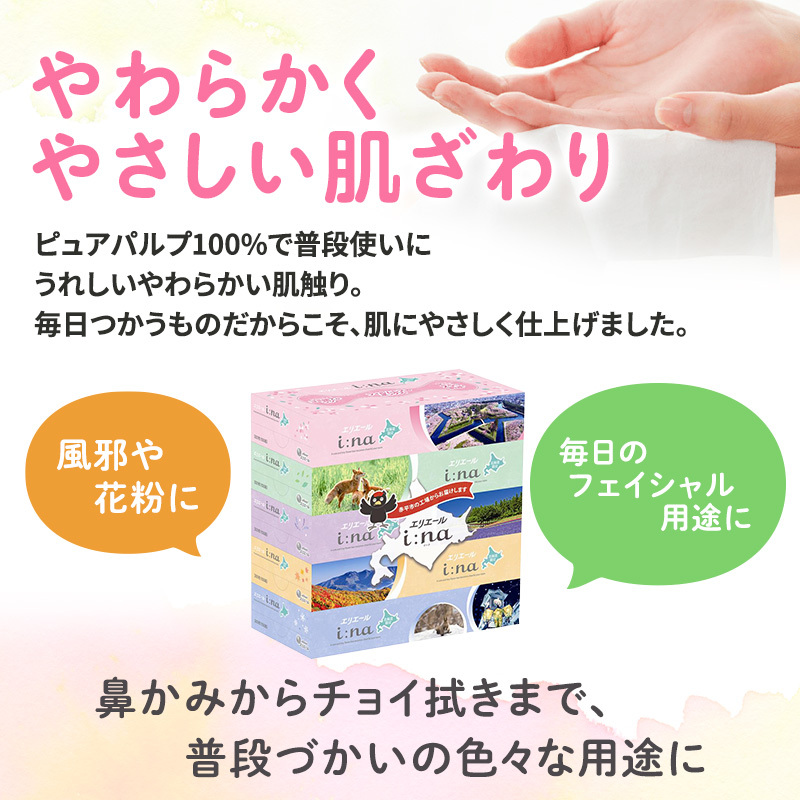 【2回お届け 計120箱】エリエール i:na (イーナ) 北海道 ティシュー 150組5箱 12パック フィルムレス ふるさと納税限定デザイン イーナ ボックスティシュー 箱ティッシュ ペーパー 備