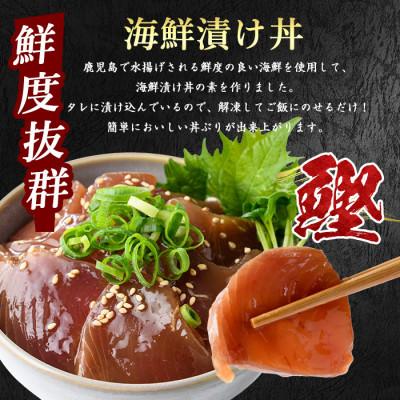 ふるさと納税 指宿市 カツオ漬け丼100g×10袋(IB039-002) |  | 01