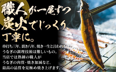 うなぎの蒲焼（1尾）頭付き230g以上　AE01