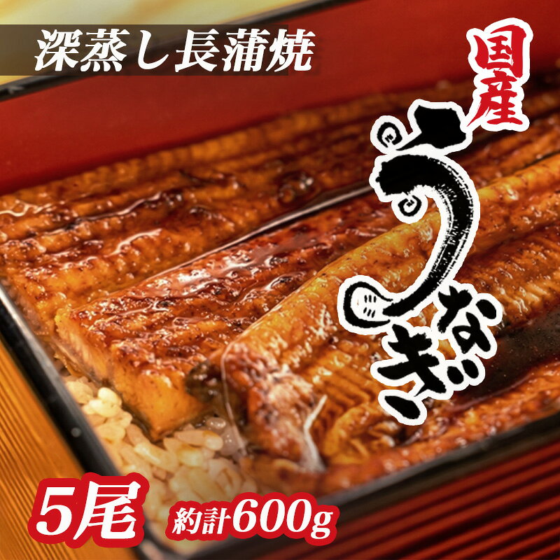 【ふるさと納税】 うなぎ 蒲焼 国産 5尾 漁協オリジナル 深蒸し 蒲焼き たれ付き 1尾 約120g-130g 土用の丑の日 鰻 ウナギ うな重 うな丼 蒲焼セット 贈答用 ギフト 高級 老舗 国内産 養殖 ふっくら 柔らかい 特産品 グルメ 返礼品 沼津市 静岡県