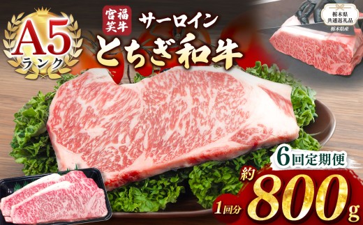 【栃木県共通返礼品】【定期便6回】宮福笑牛(とちぎ和牛) A5 サーロインステーキ　約200gx4枚  | 黒毛 和牛 牛肉 焼肉 とろける 霜降り 赤身 切り落とし ふるさと 納税 イチオシ おすすめ 栃木県 下野市 しもつけ市