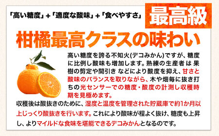 ご家庭用 デコみかん 約2.5kg 6～12玉前後《2026年2月上旬-4月末頃より出荷予定》デコポン（不知火）と同品種 熊本県産 熊本県 長洲町 訳あり