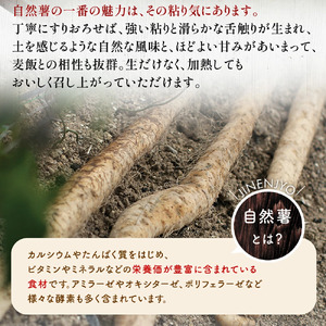 086-5　味付きとろろ汁6個セット