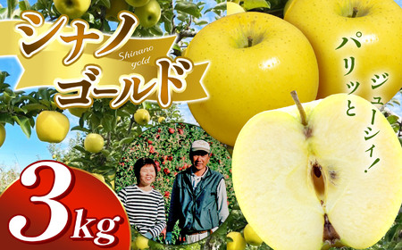 【贈答用】シナノゴールド　3㎏（9～12玉）| しなのごーるど シナノゴールド 林檎 りんご 長野県 松本市 果物 フルーツ ふるさと納税