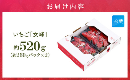 あぐりぼん　いちご「女峰」　約260gパック×2個（約520g）|いちご 果物 フルーツ デザート ストロベリー 果肉 スイーツ 甘い 国産 贈り物 贈答 プレゼント グルメ 人気 おすすめ 季節 旬