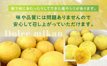 【訳あり】完熟はるか 7kg ドルチェみかん 2026年2月中旬より発送予定