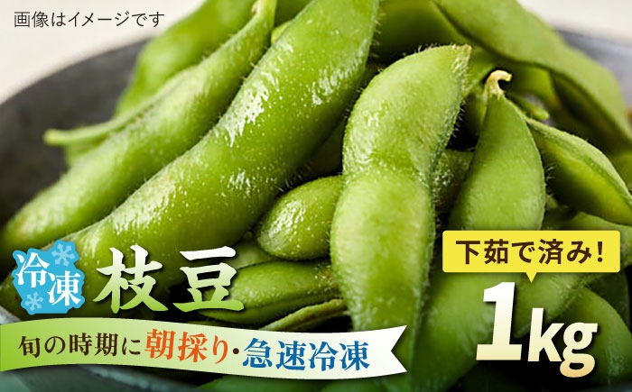 
                  枝豆 1kg 冷凍 旬の時期に急速冷凍 【福岡県糸島産】 糸島市 / オーガニックナガミツファーム 野菜 えだまめ [AGE052]
                