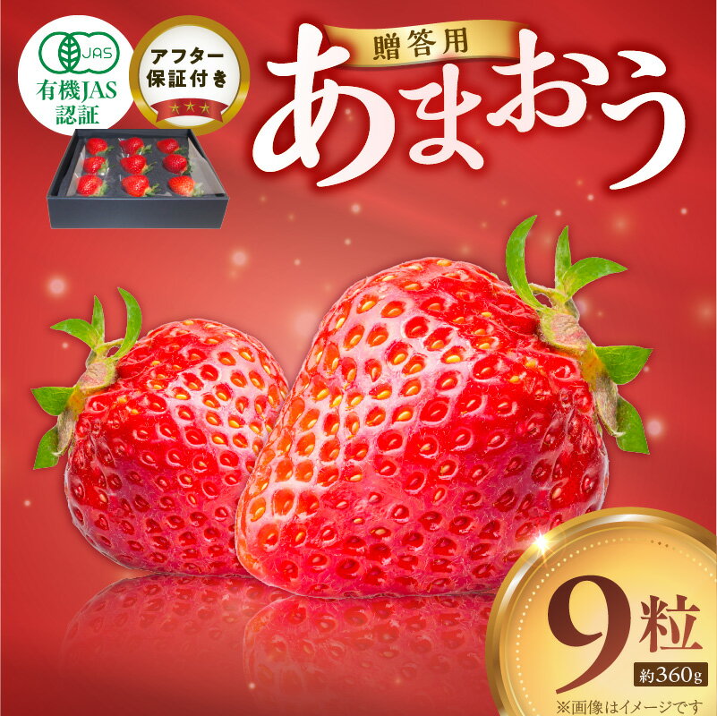 【ふるさと納税】贈答用 有機 あまおう ギフト用 9粒 約 360g 有機JAS認証 オーガニック いちご ストロベリー 特別栽培 認証 アフター保証付き 安心 安全 上品な甘さ 艶 ジューシー 果物 果汁 フルーツ スイーツ デザート 冷蔵 贈り物 お取り寄せ 福岡県 久留米市 送料無料