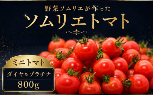 【特別栽培農産物】ソムリエミニトマト・プラチナ&ダイヤ 800g | 野菜 やさい トマト とまと 銀賞 熊本県 玉名市