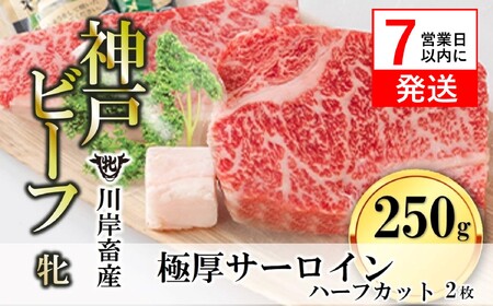 神戸ビーフ【7営業日以内発送】極厚サーロイン ハーフ2枚約250g